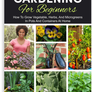 Container Gardening for Beginners