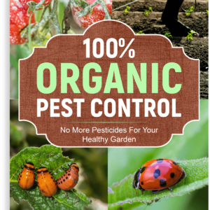 100% Organic Pest Control